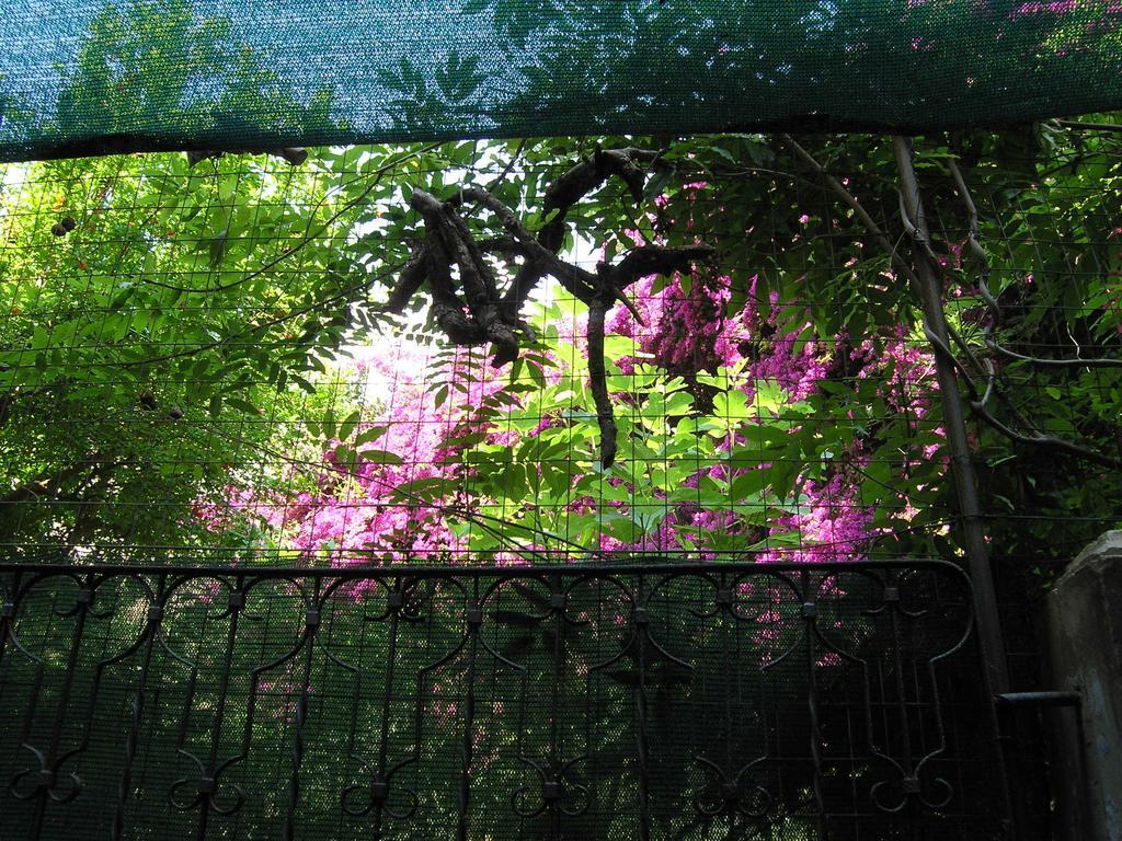 B&B Malennio Lecce Dış mekan fotoğraf